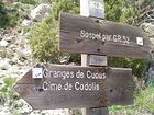 Sospel par GR52<br />Granges de Cuous<br />Cime de Codolis