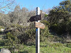 L'Albarée<br />Mont Arpasse<br />Plan du Var<br />Levens (village)