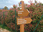 Roquefort-les-Pins<br />Retour Circuits<br />Circuit du Loup<br />Circuit du Castellas<br />Circuit du Romanil