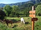 Rives de l'Estéron<br />Col de Baratus<br />Col de Bane<br />L'Arpille<br />Le Mas<br />Briançonnet - GR510