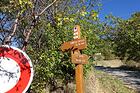 Collet de Jacques<br />Col du Buis