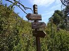 Col du Vial<br />Mont Vial<br />Les Chabanes<br />Gabarel<br />Tourette-du-Château<br />Toudon par le Toasc