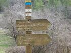 Tête du Puy<br />Chapelle de la Ste Baume<br />Mont Brune<br />L'Olivet<br />La Caïnéa<br />Pierrefeu