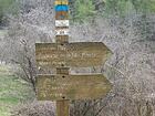 Tête du Puy, Chapelle de la Ste Baume, Mont Brune, L'Olivet, La Caïnéa, Pierrefeu