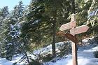 Col de la Baisse<br />Pont du Loup<br />Andon<br />Lac de Thorenc<br />-
