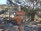 Gréolières - GR4<br />Gréolières-les-neiges - GR4<br />Cime du Cheiron<br />Crête du Cheiron<br />Col de Coursegoules