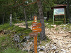 Forêt du Cheiron<br />La Baisse<br />Conségudes<br />Sigale<br />Roquestéron<br />Chemin des Pivoines