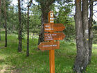 Sigale<br />Roquestéron<br />Forêt du Cheiron<br />La Baisse<br />Conségudes<br />Gréolières-les-neiges