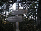 Crête du Vial<br />Mont Vial<br />Col du Vial<br />Toudon<br />Les Cabanes<br />Tourrette-du-Château