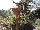 Le Tignet par GR51<br />Col de Cabris<br />Cabris<br />St-Cézaire-sur-Siagne par GR510