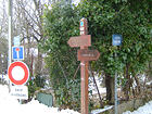 Col de Cabris, Bois d'Amons, St-Cézaire, Pierre Druidique