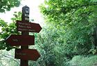 Circuit du Clot Gili<br />Malbosc-Adret<br />Chastelfort-Valabres<br />Isola<br />Tour de Louch