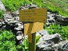 Le Gué de Vens<br />Le Pra par Tortisse<br />Col du Fer<br />Refuge de Vens<br />Lacs de Vens<br />Chemin de l'Energie<br />Lac et refuge de Rabuons