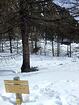 Plateau de Sestrière (2000m)<br />Refuge de Sestrière<br />St-Dalmas-le-Selvage par Tronclès<br />Col de la Moutière<br />St-Dalmas-le-Selvage - Gîte