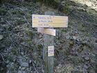 Valabres<br />Le Moulin<br />Isola<br />La Tinée