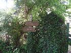 Col du Vial<br />Toudon<br />Malaussène