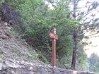 Les Cerises<br />Plateau de Dina