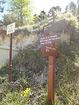 Aspremont-GR5<br />Chemin de la Bergerie<br />Mont Chauve de Tourette<br />Baisse de Guigo<br />Tourette-Levens<br />GR51