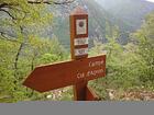 Campé<br />Col d'Agnon<br />-