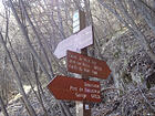 Le Bois Noir<br />La Madonina<br />Collet du Mont Agu<br />Breil-sur-Roya - GR52A<br />Forêt du Mont Agu<br />Baoussoun<br />Pont de Baoussoun<br />Saorge - GR52A