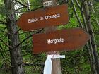 Baisse de Crouseta<br />Morignole