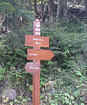 Gasta Fume (1600m), Col de Turini, Baisse de Patronel