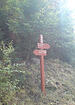 Route D2566<br />Peïra Cava<br />Cime de Cuorcas<br />Maison forestière