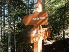 Piste de Tardéï<br />Maison forestière<br />Route D2566
