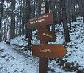 La Bollène-Vésubie par piste de Malagratta<br />Serre de la Couala<br />route D70