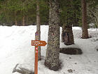 Forêt du Boréon<br />St Martin Vésubie par Collet Cotignol