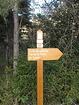 Forêt de Lucéram<br />Col de la Porte<br />Le Suquet
