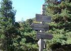 Col de St Pons (1457m)<br />Baisse du Brec<br />Baisse d'Ilonse<br />Col de Courbaisse<br />Col de la Sinne<br />Ilonse<br />Pierlas<br />L'Arsilane<br />Lieuche