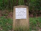 [Cliquez pour agrandir]